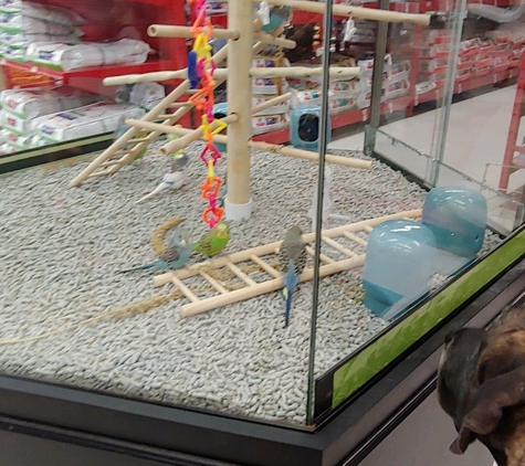 Petco - Austin, TX