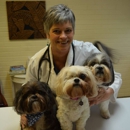 South Pointe Animal Hospital - Veterinary Specialty Services