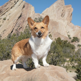 Lifetime Animal Hospital - Cody, WY