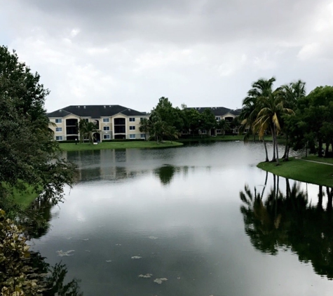 Palm Trace Landings Apartments - Davie, FL