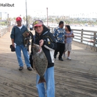 Oceanside Pier Bait Store