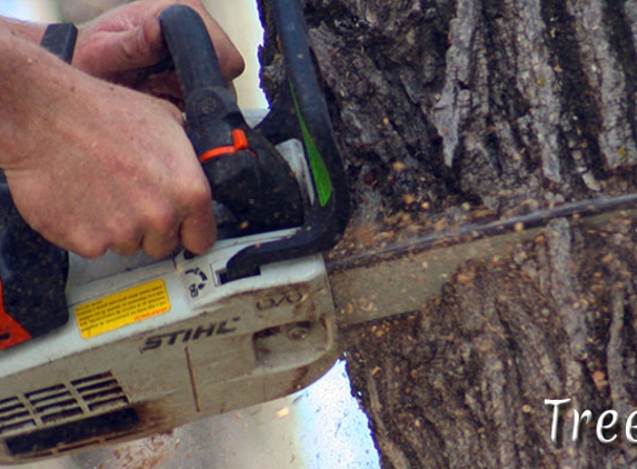 BJ Haines Tree Services - Stillwater, MN