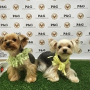 Pooch & Groom - Pet Grooming