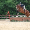 On Course Riding Academy gallery