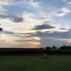 Farm House Vineyards