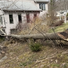 Owen's Tree Expert