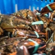 New England Wholesale Fish & Lobster