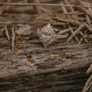 Designing Jewelers - Jewelry Designers
