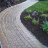 Ever Green Tree Service & Lancscaping gallery