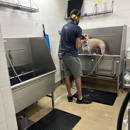 Petco Grooming - Pet Grooming