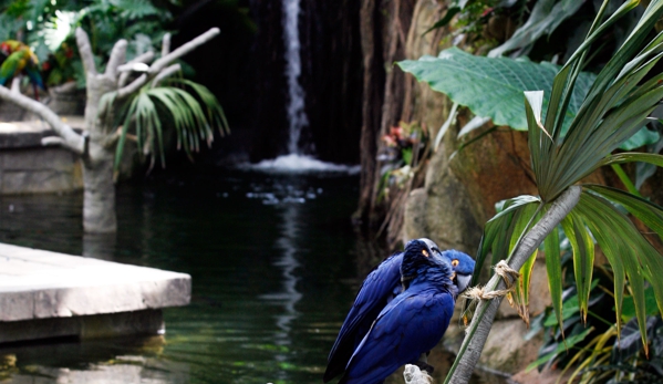 Moody Gardens - Galveston, TX