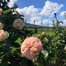 Fry Family Farm - Farms