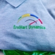 ErviHart Dynamics LLC