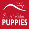 Sunset Ridge Puppies gallery