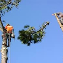 R & R Tree Service - Landscape Contractors