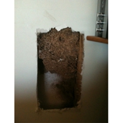 Gallery Image Number 3