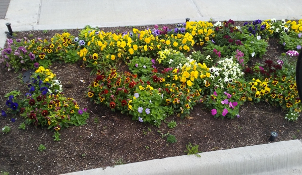 Marvin Arias Lawn Service - Houston, TX. We make new flower bed