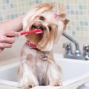 Awash & Groom Pet Services Inc - Pet Services