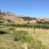 Lafond Winery & Vineyards gallery