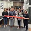 LIVCO. Dentistry gallery