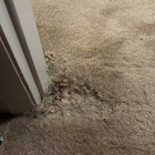 Compass Carpet Repair & Cleaning