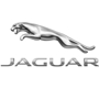Jaguar San Juan Texas