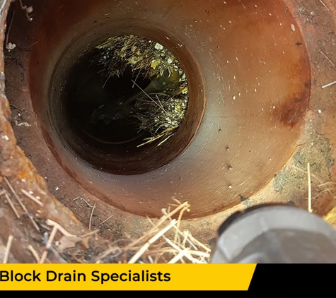Martech Plumbing Pty Ltd - Kurrajong, NSW. The Block Drain Specialists