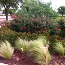 Lawson's Landscaping & Irrigation - Landscape Contractors
