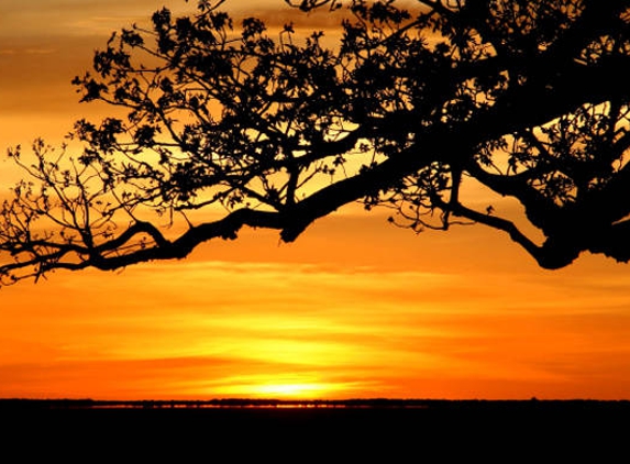 Northern Land Council - Darwin, NT