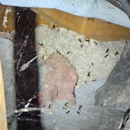 Soundview Wildlife Control - Pest Control Equipment & Supplies