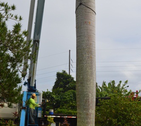 Big Island Tree Service Inc - Keaau, HI