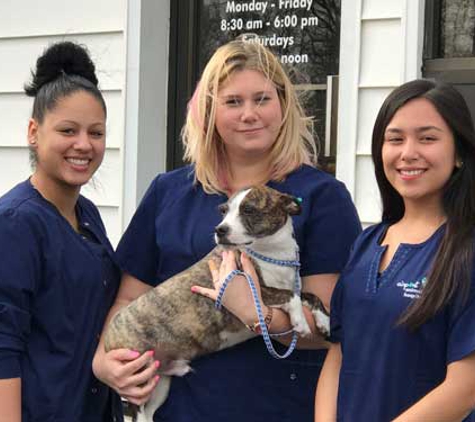 Airport Animal Hospital - Toledo, OH