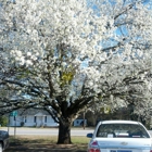 South Carolina DMV-Greenville