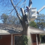 Falling Timbers Tree Service