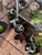 Beyond 2000 Pest Control - Pest Control