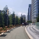 Salesforce Transit Center - Transit Lines