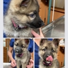 Southside Animal Hospital gallery
