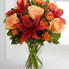 Wilkin Flower Shop Inc