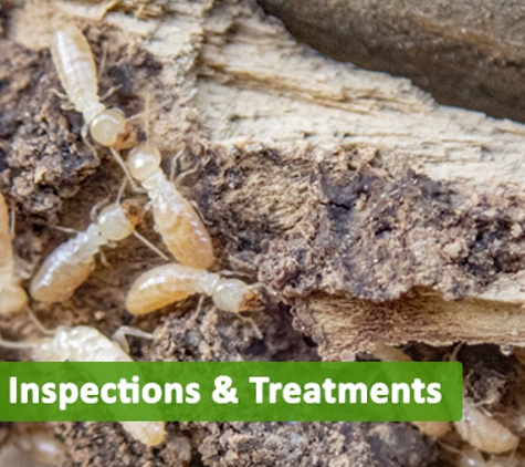 Keech Pest Control - South Tamworth, NSW. Termite Inspections and ​Treatments