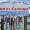 Iced Down Sportfishing gallery