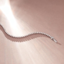 Dunkin's Diamonds - Jewelers