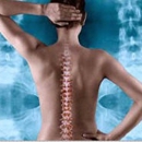 Lewis Chiropractic Center - Dr. Howard F. Lewis - Chiropractors & Chiropractic Services