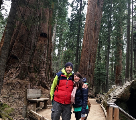 Calaveras Big Trees State Park - Arnold, CA