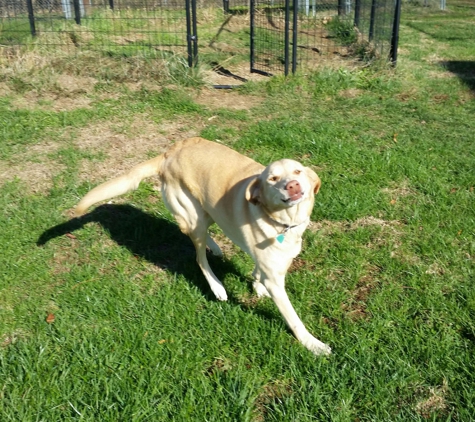 Happy Spot Pet Resort - Georgetown, KY