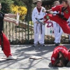 Martial Arts America gallery