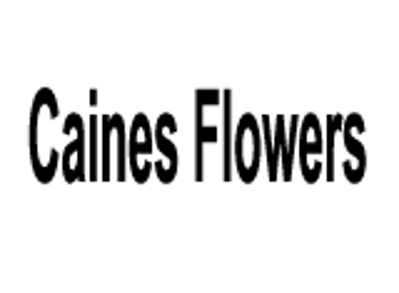 Caines Flowers - Barberton, OH