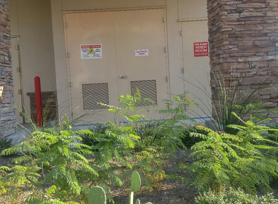 In-N-Out Burger - Austin, TX