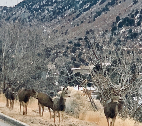 Fort Lewis College - Durango, CO