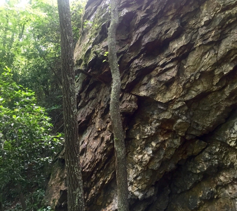 Occoneechee Mountain State Natural Area - Hillsborough, NC