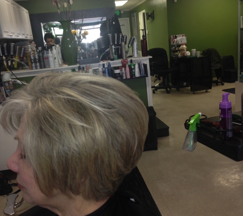 Professional Hair Team - Spring, TX